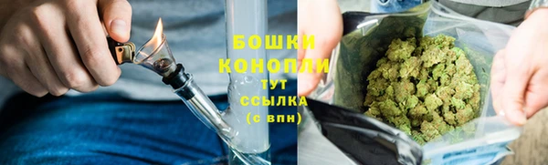 тгк Санкт-Петербург