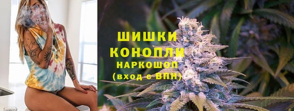 тгк Санкт-Петербург