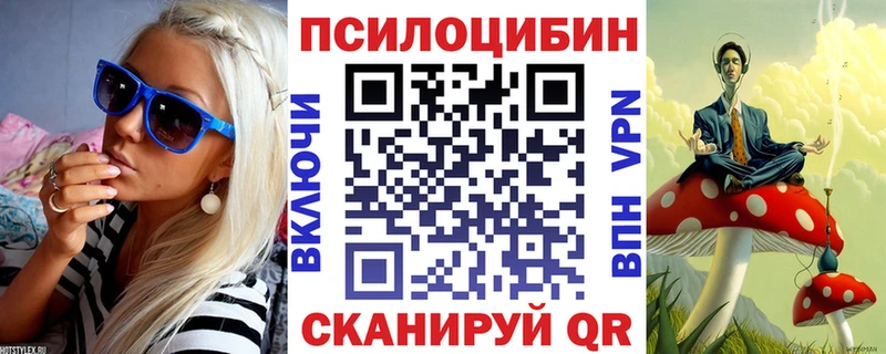 ссылка на мегу ССЫЛКА  закладки  Александровск  Псилоцибиновые грибы мухоморы 